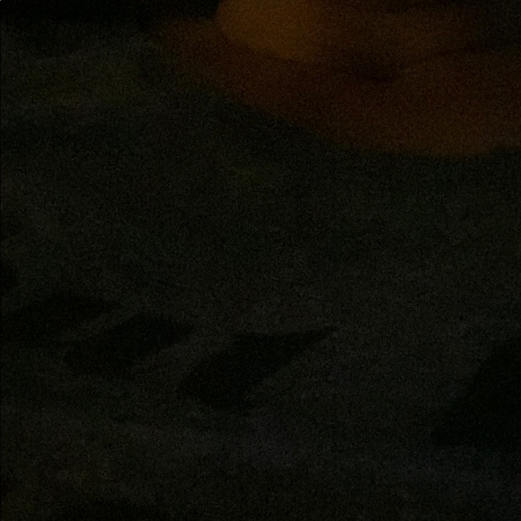 Meet your Posher, Dana - Picture 1 of 1